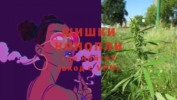 круглые Ельня