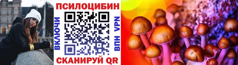 Галлюциногенные грибы Cubensis  Калининград 